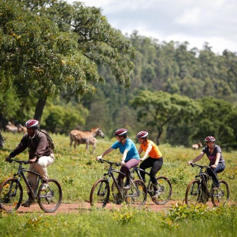 Mountainbiking i Swaziland